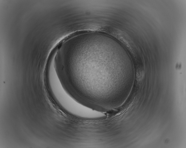 X0000097830532200803281202