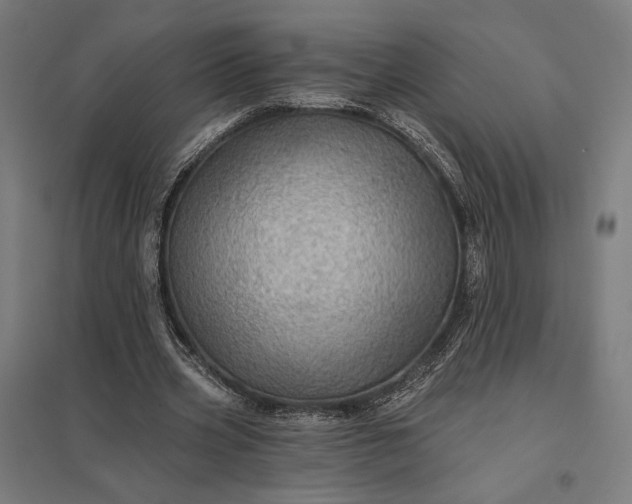 X0000097830533200803281202