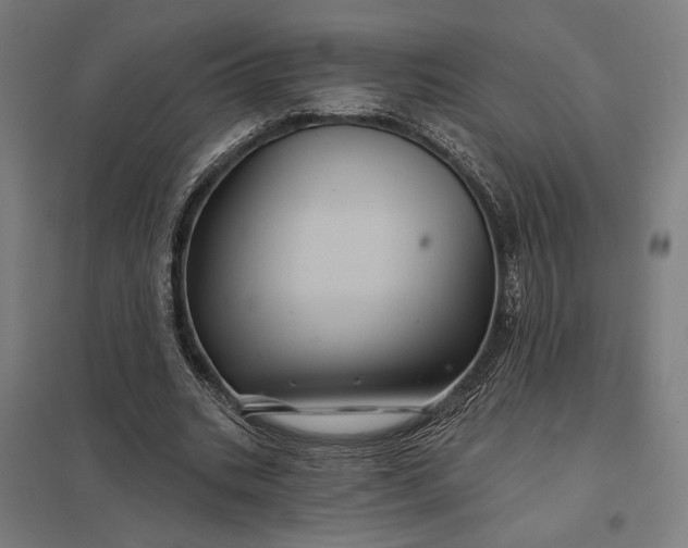 X0000097830535200803281202