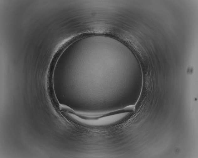 X0000097830536200803281202