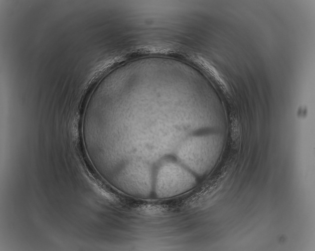 X0000097830537200803281202