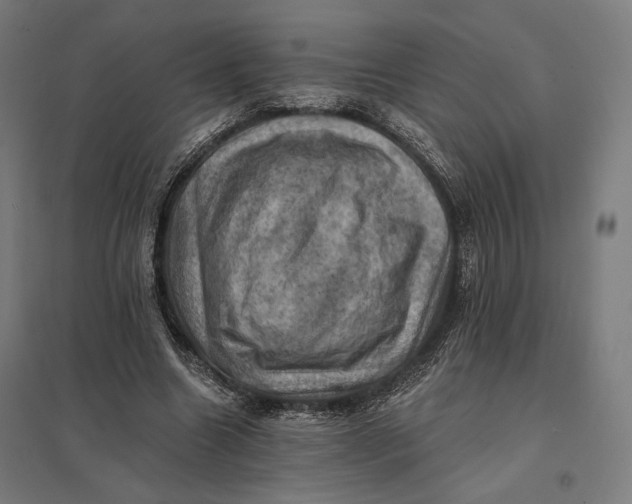 X0000097830538200803281202