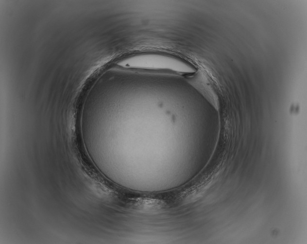 X0000097830539200803281202