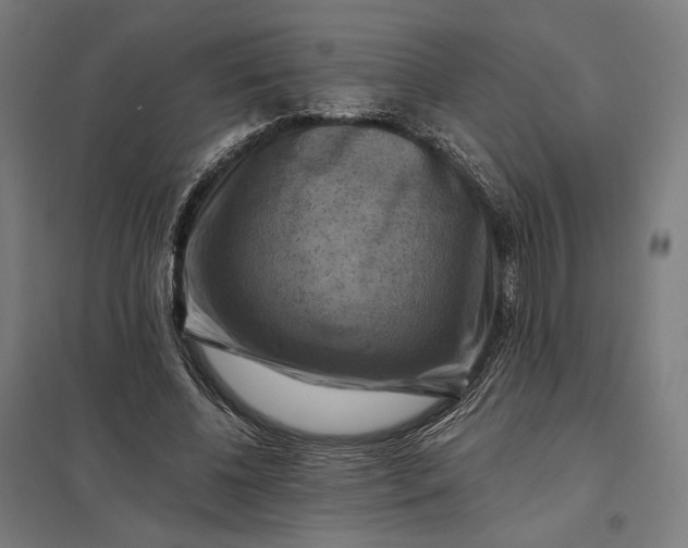 X0000097830540200803281203