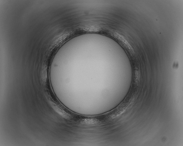 X0000097830541200803281203