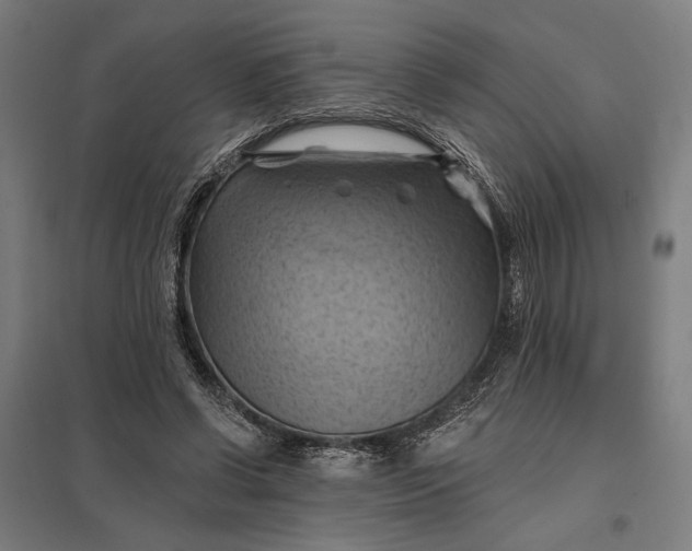 X0000097830542200803281203