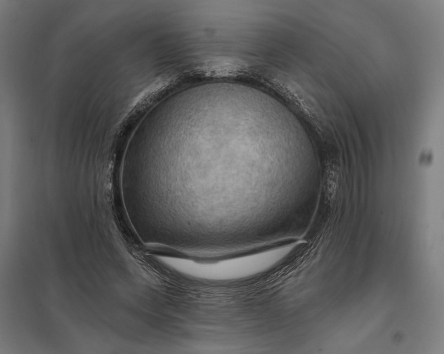 X0000097830543200803281203