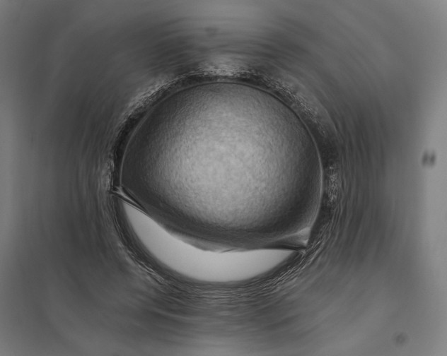 X0000097830544200803281203