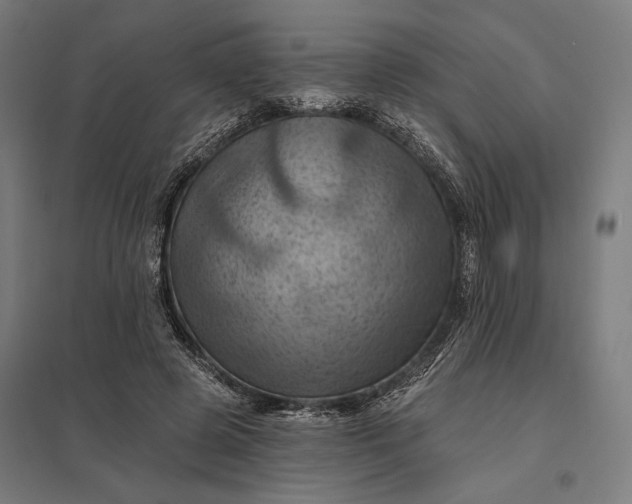 X0000097830545200803281203