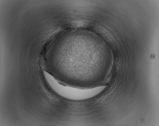 X0000097830546200803281203