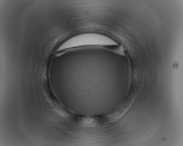 X0000097830547200803281203