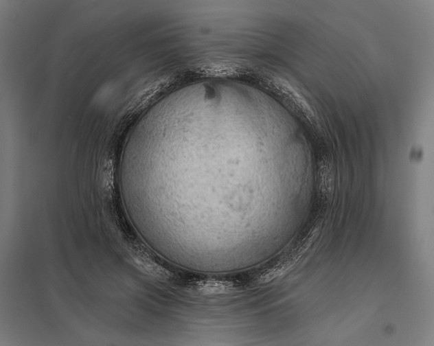 X0000097830549200803281203