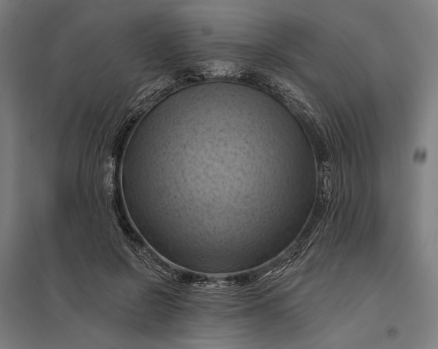 X0000097830550200803281203