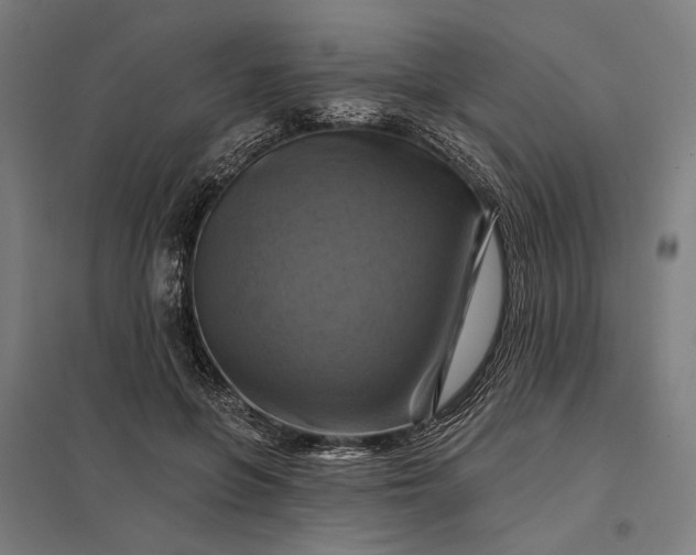 X0000097830551200803281203