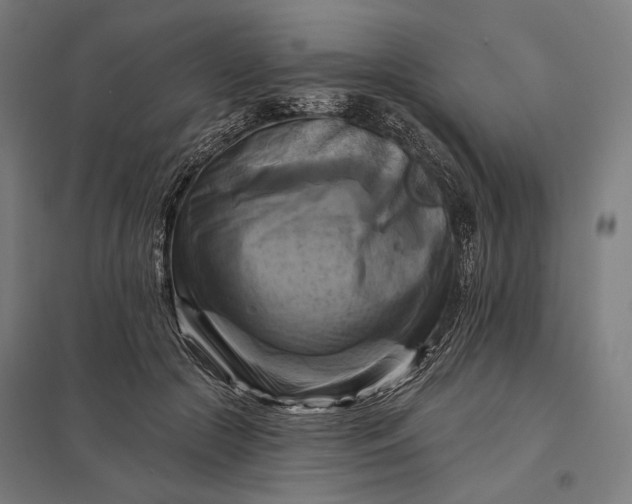 X0000097830553200803281203