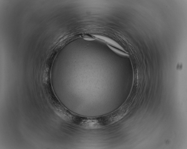 X0000097830554200803281203