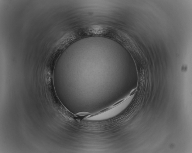 X0000097830555200803281203