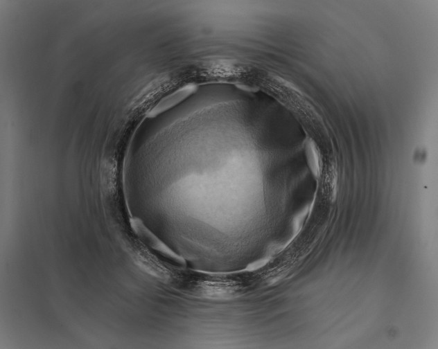 X0000097830556200803281203