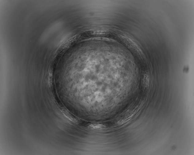 X0000097830557200803281203