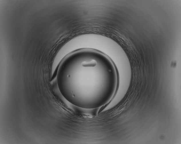 X0000097830558200803281203