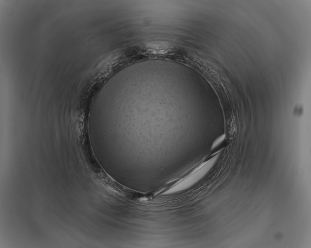 X0000097830559200803281203