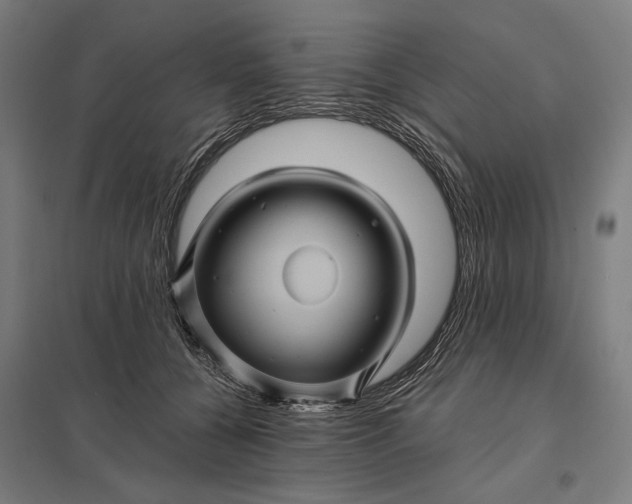 X0000097830560200803281203