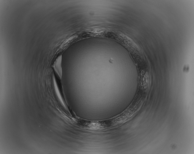 X0000097830562200803281203