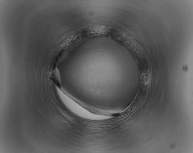 X0000097830564200803281203