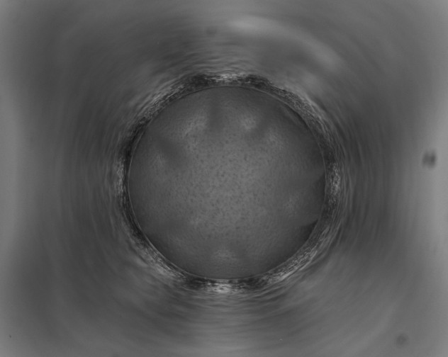 X0000097830565200803281203