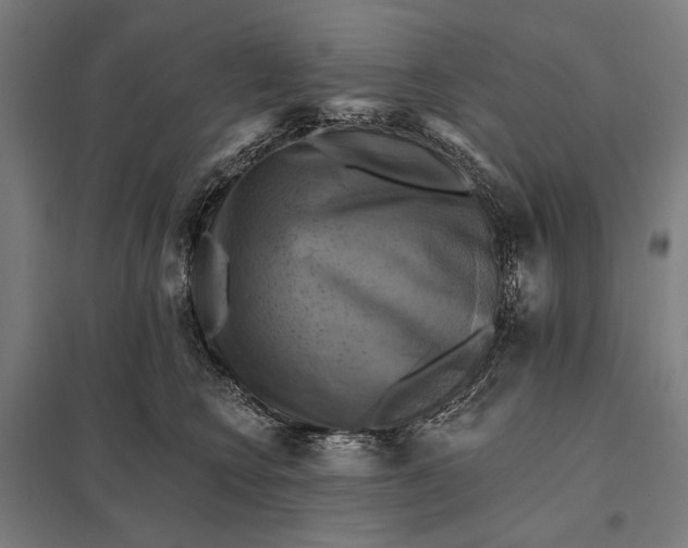 X0000097830566200803281203