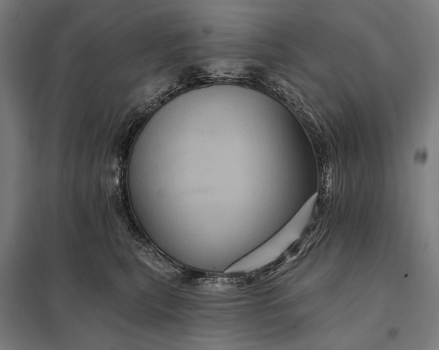 X0000097830567200803281203