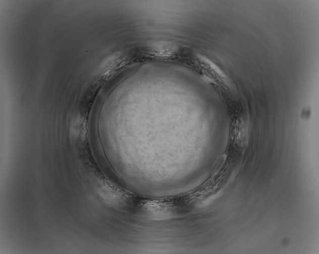 X0000097830568200803281203