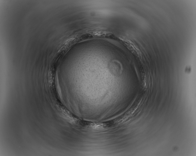 X0000097830569200803281203