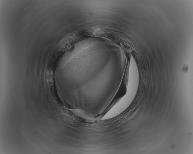 X0000097830571200803281203