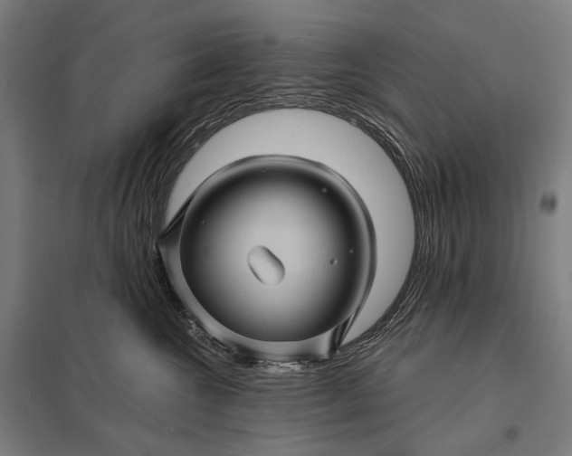 X0000097830572200803281203