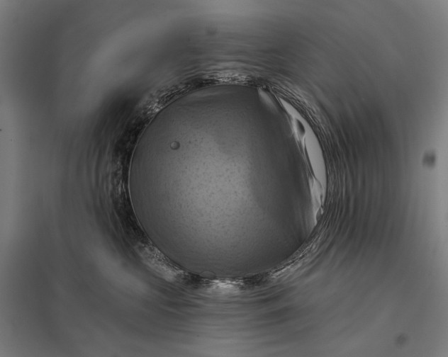 X0000097830573200803281203