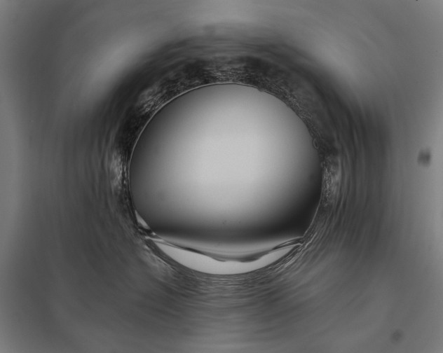 X0000097830574200803281203