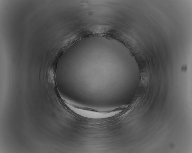 X0000097830575200803281203