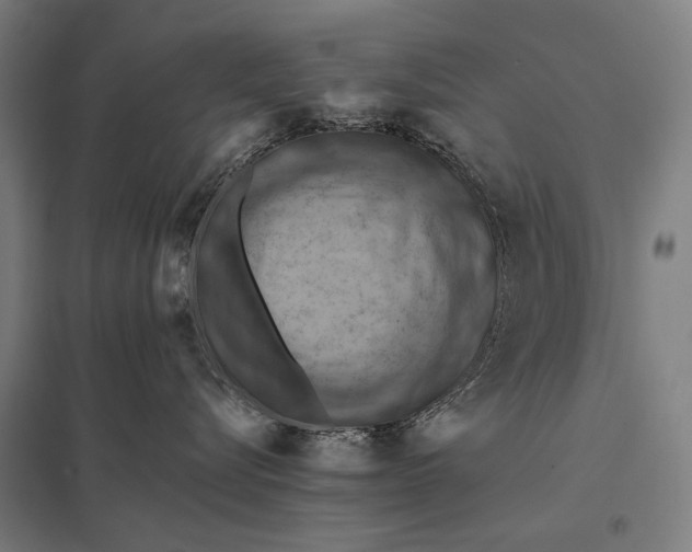 X0000097830576200803281203