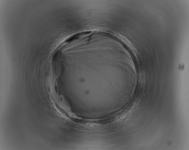 X0000097830577200803281202