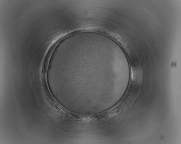 X0000097830579200803281202