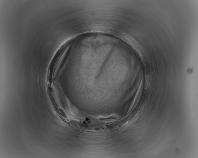 X0000097830580200803281202