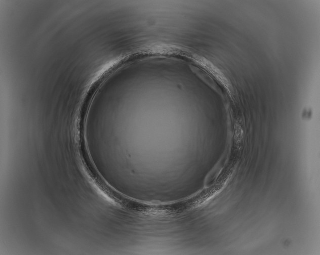 X0000097830581200803281202