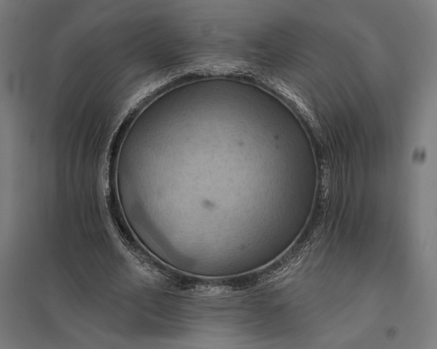 X0000097830582200803281202