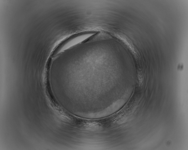 X0000097830583200803281202