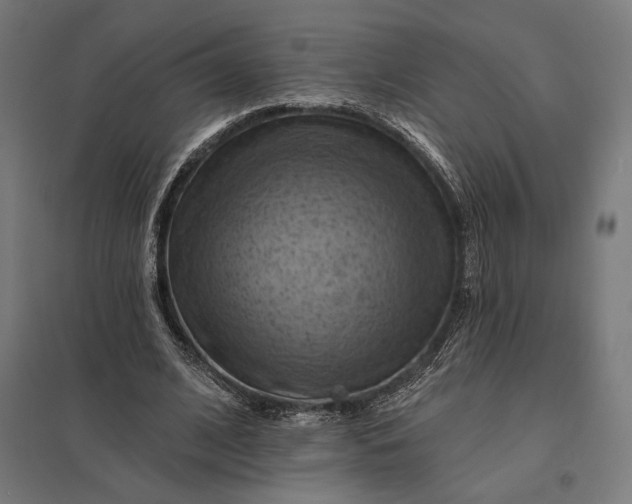 X0000097830584200803281202