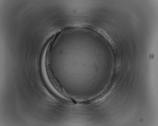 X0000097830585200803281202