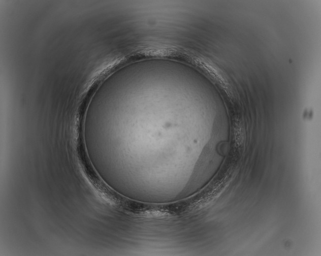 X0000097830586200803281202