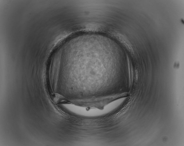 X0000097830588200803281202