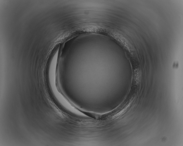 X0000097830589200803281202